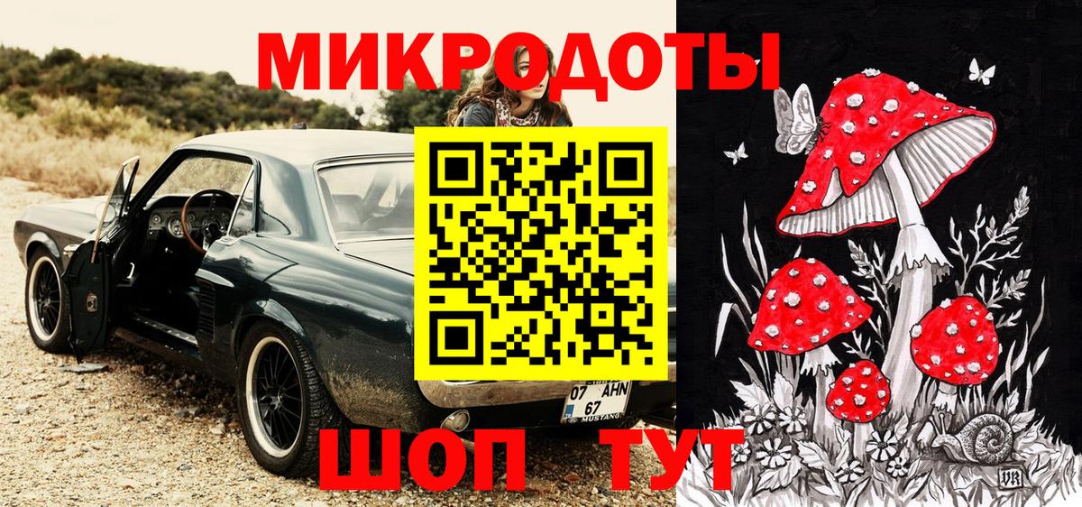 Галлюциногенные грибы Psilocybine cubensis Черногорск