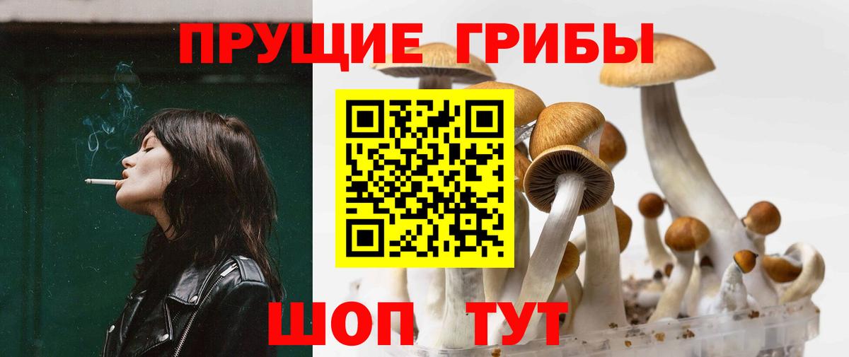 Черногорск  Галлюциногенные грибы мухоморы  продажа наркотиков  Галлюциногенные грибы Cubensis  Вход с VPN 